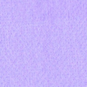 TNT Liso 40g - Lilás (1,40m x 50m)