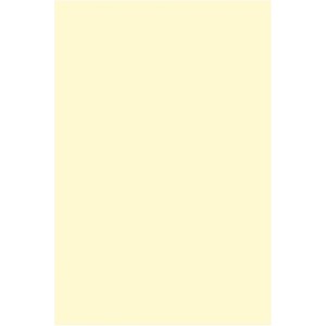 Placa de EVA Liso 40x60cm - Amarelo Baunilha