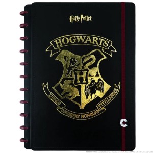 Caderno Inteligente Harry Potter Grande 80fls CI